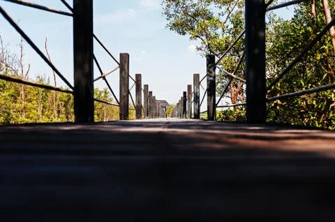 Footbridge in the park Foto stock