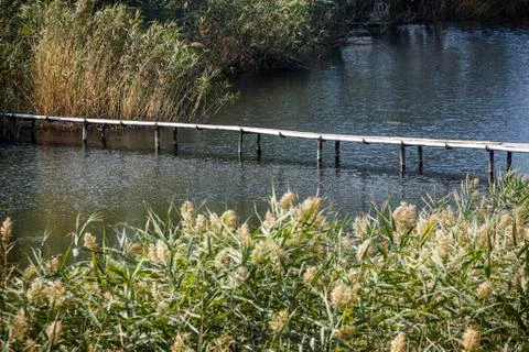 Footbridge Stock Photos