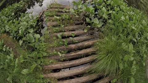 Footbridge to pound Stock Footage 76788408