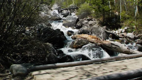 Footbridge Stream CU 스톡 동영상 131492298