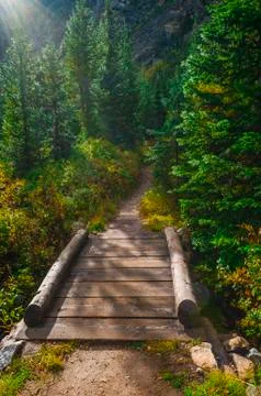 Footbridge on string lake trail Stock Photos