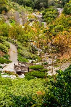 Footbridge trees Foto stock