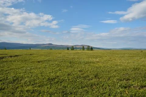 Foothill tundra. Stock Photos