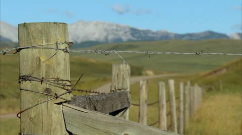 Foothills and Rocky Mountains Video stock 55956099