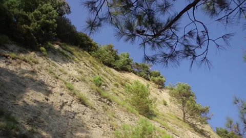 Foothills road in Abkhazia Stock Footage 253642572
