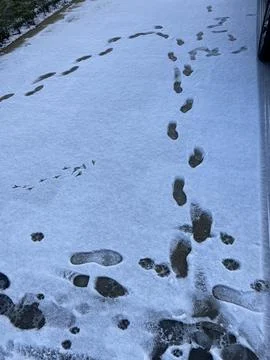 Foothsteps in the snow, melting Stock Photos