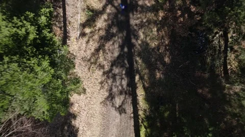 Footing In The Forest By Drone Video stock 246738971