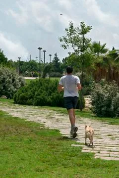 Footing-jogging Stock Photos