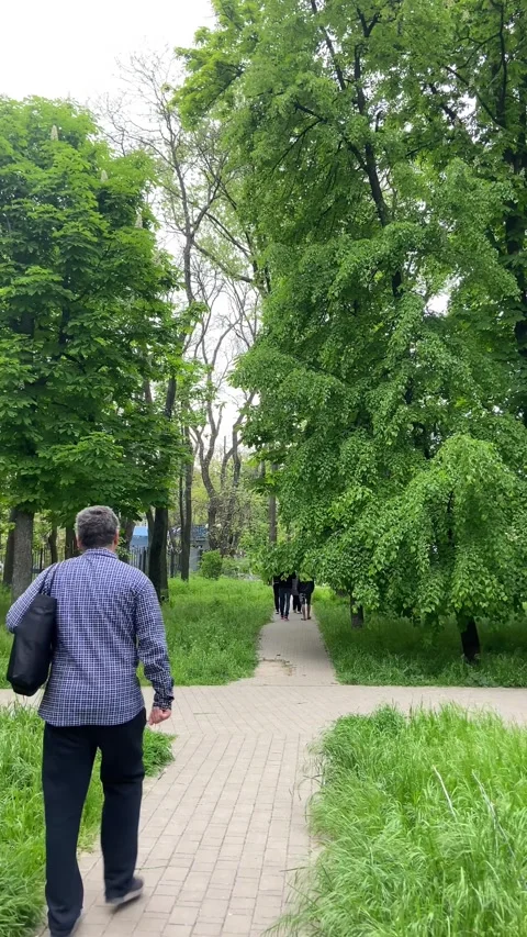 A footpath along which several  men are walking. City park. Stock Footage 240732582