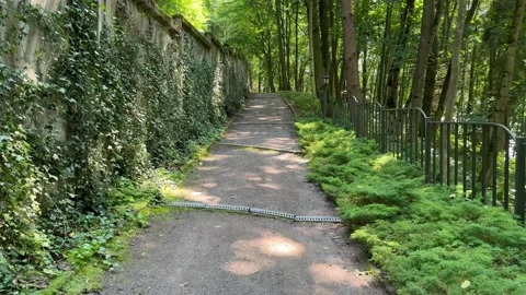 A footpath among the trees in the park Video stock 248563131
