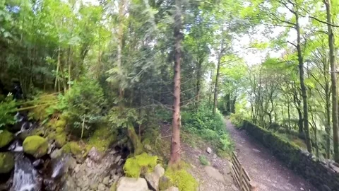 Footpath and stream through rural countryside woodland forest Stock Footage 279841274