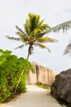The footpath to anse source d'argent in la digue, seychelles with palm trees  Stock Photos