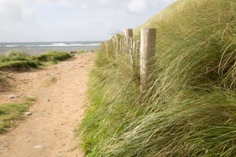 Footpath to Beach, Clare Stock Photos