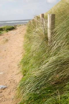 Footpath to Beach, Clare Stock Photos