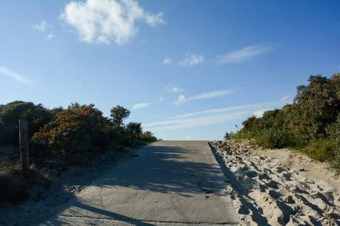 Footpath between the dunes to the beach Stock Photos