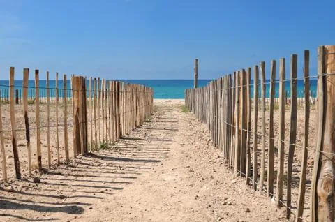 Footpath between fence Stock Photos