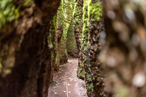 Footpath between moss covered rocks in the Drachenschlucht Stock Photos