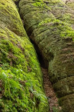 Footpath between moss covered rocks in the Drachenschlucht Stock Photos