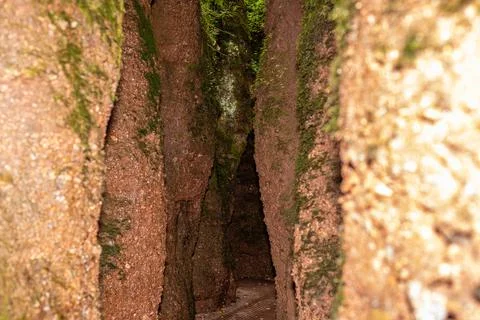 Footpath between moss covered rocks in the Drachenschlucht Stock Photos