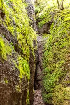 Footpath between moss covered rocks in the Drachenschlucht Stock Photos