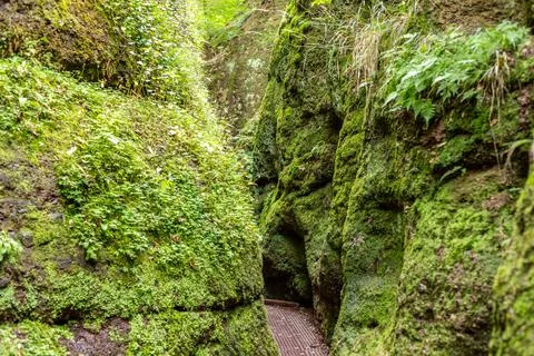 Footpath between moss covered rocks in the Drachenschlucht Stock Photos