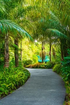A footpath between palm trees towards a light blue suspension bridge Stock Photos