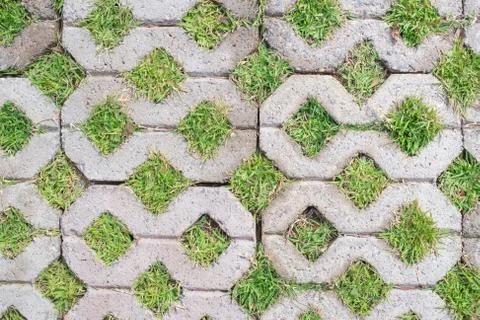 Footpath block with green grass inside texture pattern background Stock Photos