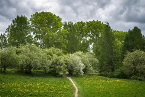Footpath in a blossoming spring park on a cloudy day Stock Photos