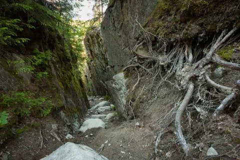 Footpath in bottom of small gorge Stock Photos
