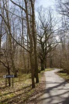 Footpath in early springtime Stock Photos