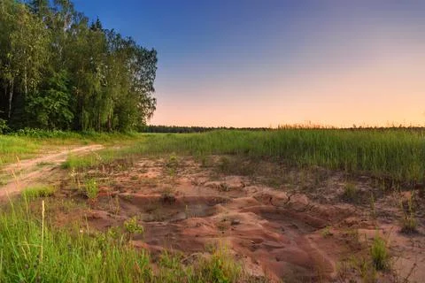 Footpath in the field Stock Photos