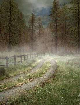 Footpath to the foggy forest Stock Illustration