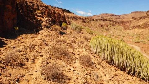 The footpath Stock Footage 106023031