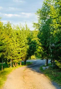 Footpath in the forest Stock Photos