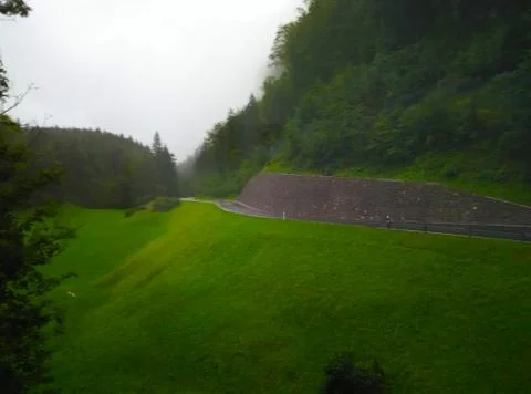 A footpath in a forest Stock Photos