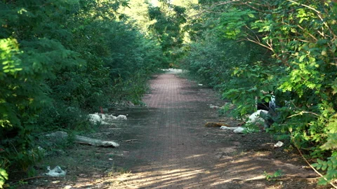 Footpath with garbage littering the side of the road. Stock Footage 170580144