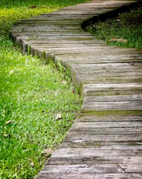 Footpath in the garden Foto stock