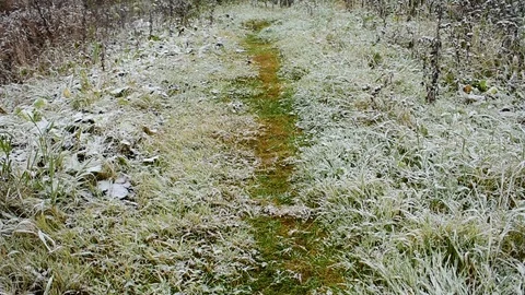 Footpath, grass first snow Stock Footage 118907459
