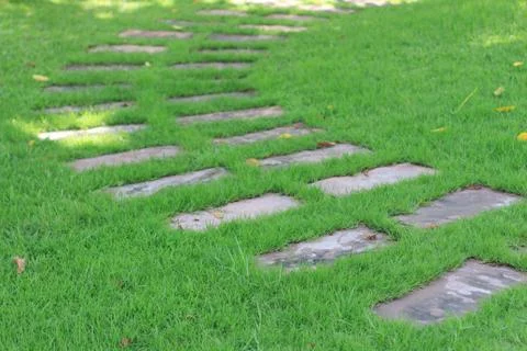 Footpath green grass Foto stock