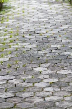 Footpath of hexagonal bricks with a young green grass in the joints Stock Photos