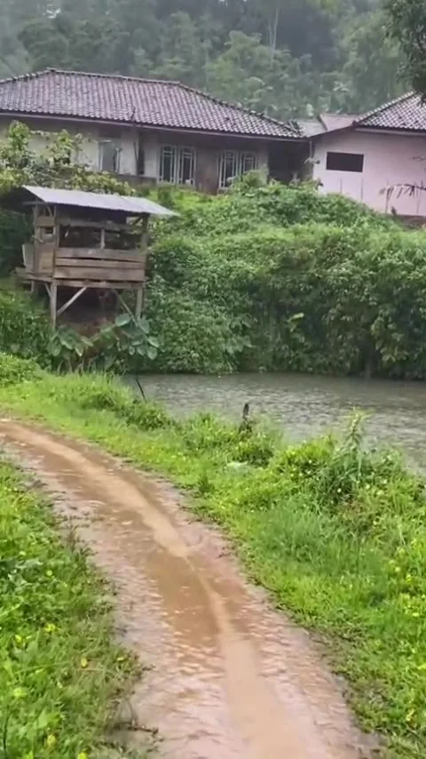 Footpath to the house Stock Footage 308299858