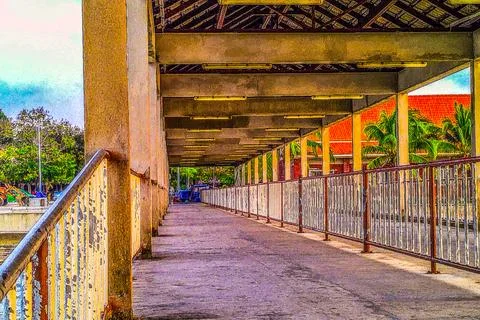 Footpath leading to the jetty 库存照片