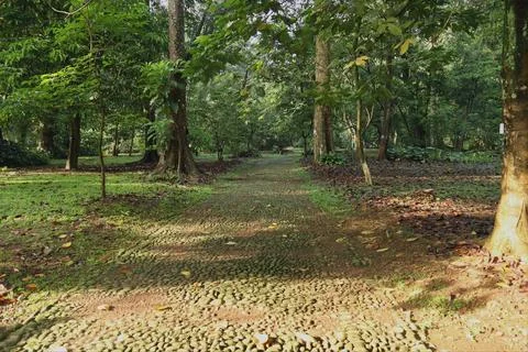 Footpath made of stone Stock Photos