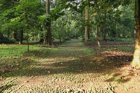 Footpath made of stone Foto stock