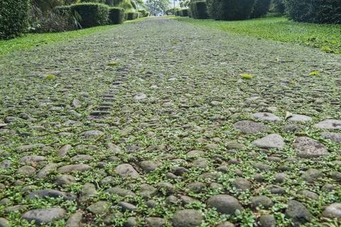 Footpath made of stone Stock Photos