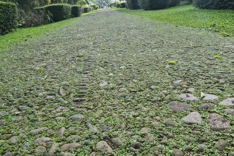 Footpath made of stone Foto stock