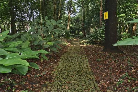 Footpath made of stone Foto stock
