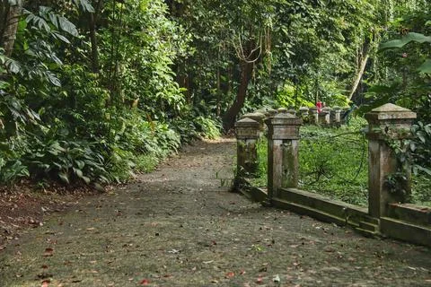 Footpath made of stone Foto stock