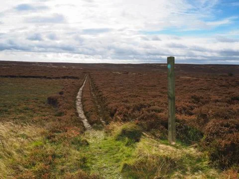 Footpath with marker post leading across moors Foto stock