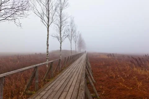 Footpath on a misty day Stock Photos